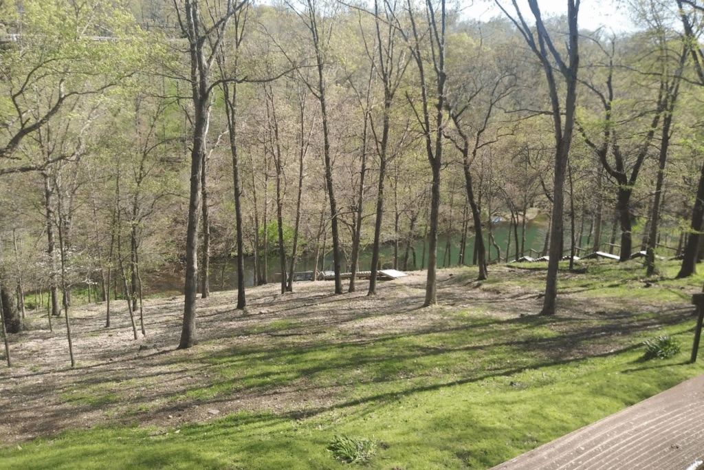 Tree removal project